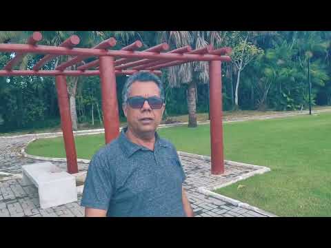 MAIS UMA CIDADE DO TOCANTINS,PIRAQUÈ,COM SEU PARQUE DOS BURITINS.