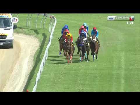 Hippisme : Suivez en direct la 5e course de la 16ème journée de course au Champ de Mars.