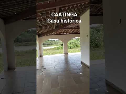 cultura #caatinga  #nordeste #vidanaroça #agricultura #sitio #arquitetura #casa