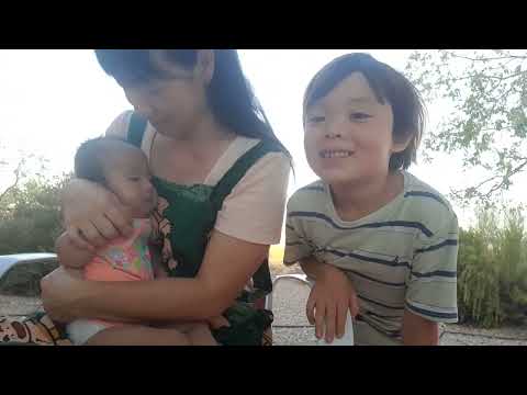 月と一緒にガーデニングを学ぶ特定の縁起の良い月の満ち欠けの植栽