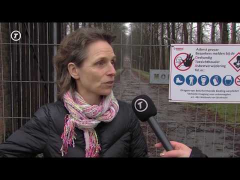 Hart van Brabant Nieuws - 27 februari 2020