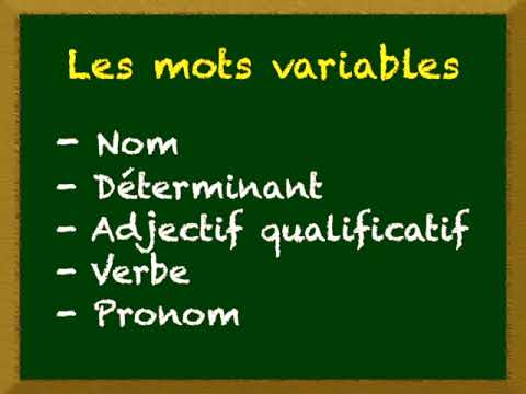 La nature des mots en français : Tout savoir sur les mots variables (Leçon 1)