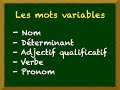 Leçon 1 - Les mots variables 