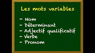 Leçon 1 - Les mots variables
