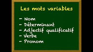 Leçon 1 - Les mots variables