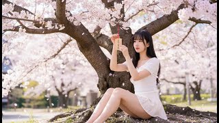 🌸 君の瞳に映る春 | Official Music Video