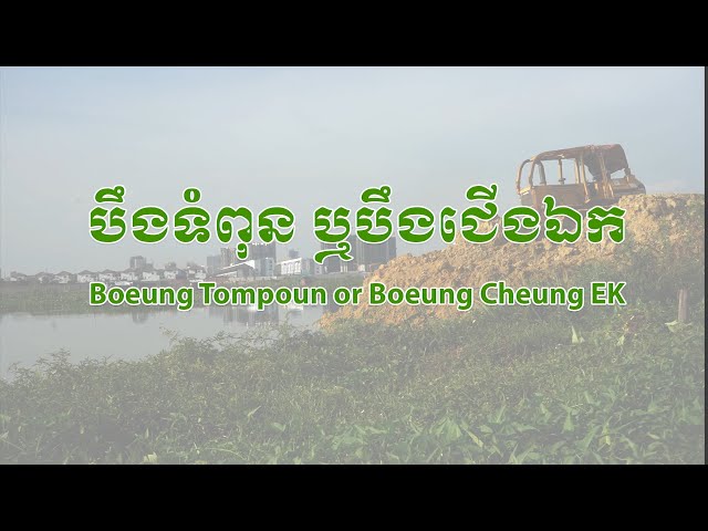 ការបាត់បង់បឹងទំពុន