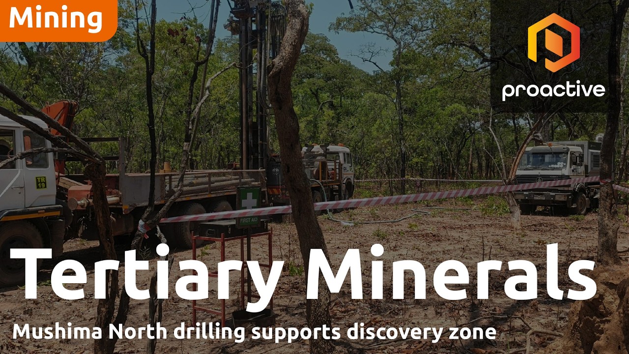 Tertiary Minerals MD: Strong news flow of assays heading into maiden resource estimate