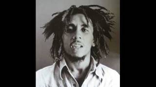 Bob Marley - Punky Reggae Party