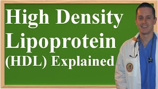 High Density Lipoprotein (HDL) Explained (Made Easy to Understand)