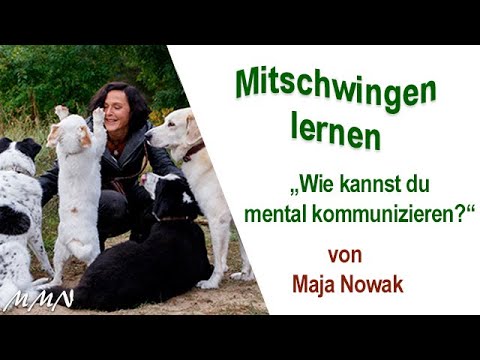 MITSCHWINGEN LERNEN  - "Wie kannst du mental kommunizieren?" - von Maja Nowak