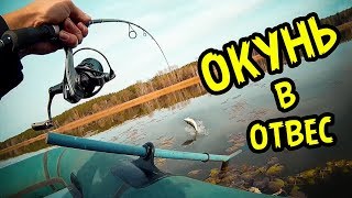 Снасть для ловли окуня с отвесом