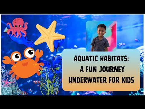 Exploring Aquatic Habitats: A Fun Journey Underwater for Kids!