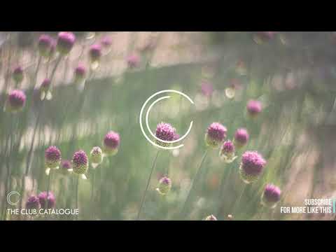 Fehrmon Ft. Terra - Somewhere (Frank Sonic Remix)