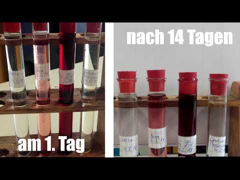 Warum wird Wein sauer ?