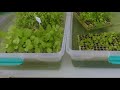 NBproject