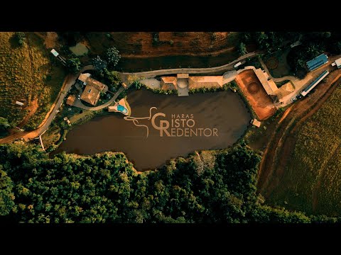Vídeo Haras Cristo Redentor