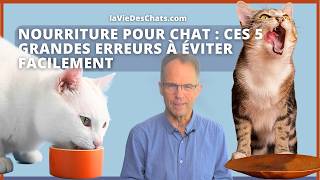 NOURRITURE POUR CHAT ? CES 5 GRANDES ERREURS À ÉVITER FACILEMENT