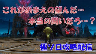 【FF14】１対１こそ本当の闘い【ソロ】