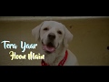 Tera Yaar Hoon Main Female Version Sanjana Kalmanje Dedicated To Animal Lovers