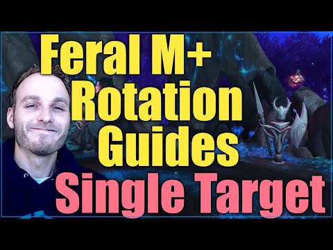 WoW Shadowlands: Feral M+ Rotation Guides - Single Target BT + No BT - Psybearslat
