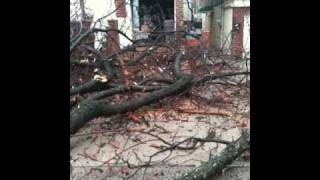 preview picture of video 'McDonald street disaster - Fallen tree'