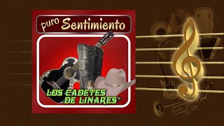 Si Quieres Tu Volver - Los Cadetes de Linares