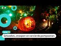 Hoe is Halloween ontstaan?