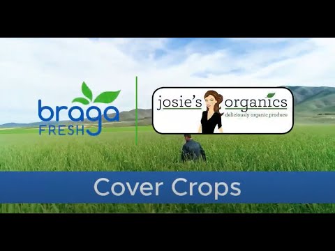 Cover Crops