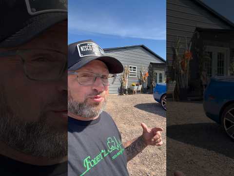 The 173 Video Review