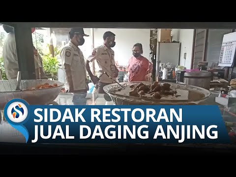 Penjualan Daging Anjing Dilarang, Satpol PP Kota Malang Gencar Razia Rumah Makan