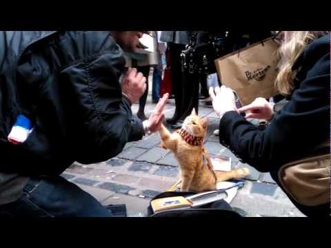 Delphiris meets Bob the big Issue Cat