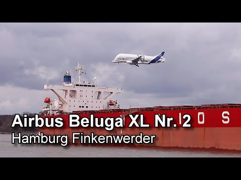 Airbus Beluga XL Nr.2 - Anflug auf Hamburg Finkenwerder