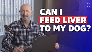 Can I feed my dog liver?