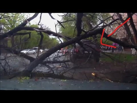 Trees vs Cars #2 SHOCKING Dash Cam Fails Compilation