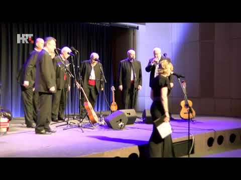 HRT - koncert Klape NOSTALGIJA i TS SINOVI RAVNICE u Bajsiću