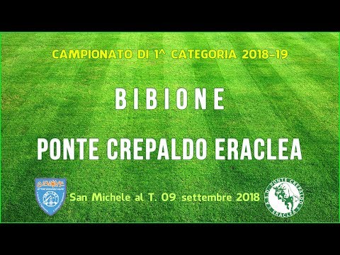 Bibione - Ponte Crepaldo Eraclea. La Sintesi