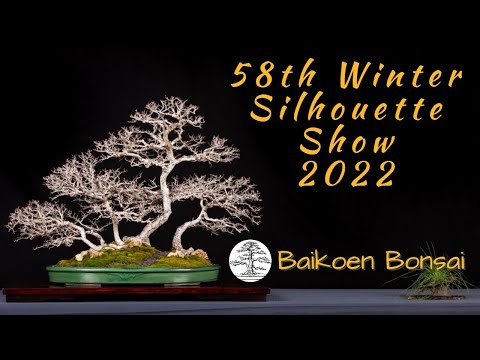 2022 58th Baikoen Bonsai Club Winter Silhouette Show - Baikoen Bonsai Club