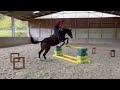 Jument de sport
