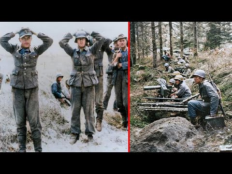 Brutalna Klęska Amerykanów w Lesie Hürtgen