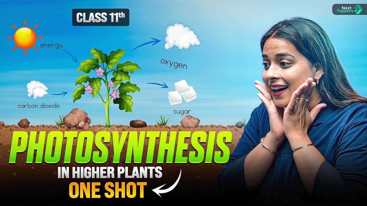 Photosynthesis in Higher Plants Class 11 One Shot | NCERT Biology Complete Chapter Revision