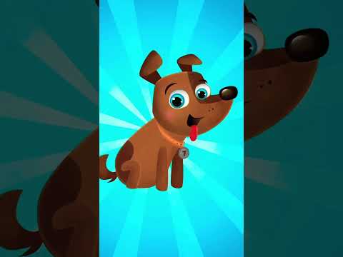 Kundel bury #spiewanki #piosenkidladzieci #śpiewanki