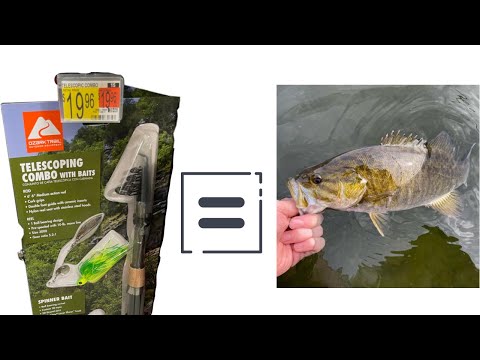 Best Budget Travel Rod? | Bonus PB catch!!