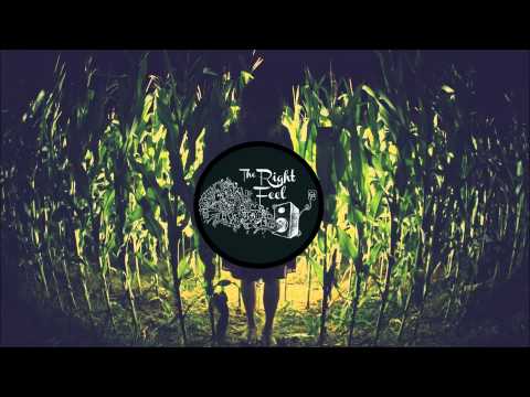 Digitaria - Favourite Addiction (Feat. Clarian)