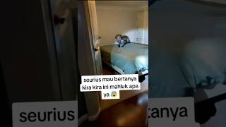 Download lagu DON'T WATCH ALONE❗️TYPES OF JENGLOT CREATURES❓#trending #shorts #creepy #jin #horror #ghost mp3 Download lagu DON'T WATCH ALONE❗️TYPES OF JENGLOT CREATURES❓#trending #shorts #creepy #jin #horror #ghost mp3