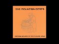 The Mountain Goats - Pure Heat