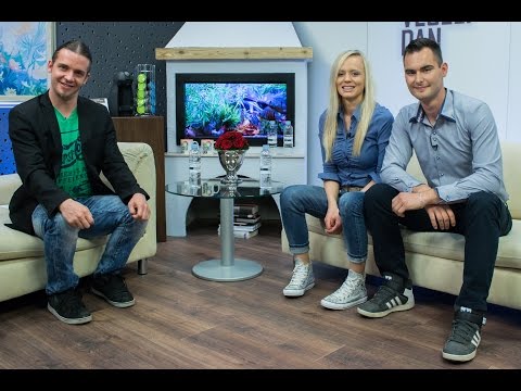 TA VESELI DAN - Ansambel Azalea