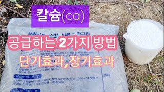 칼슘(ca)을 공급하는 2가지 방법