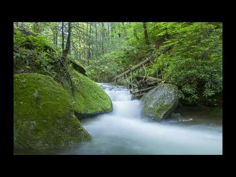 Adyashanti: enlightenment/awakening through true meditation by allowing everything to be as it is