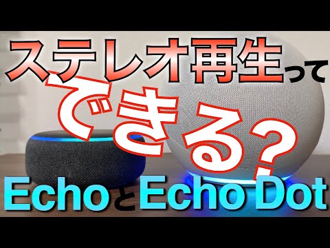忠実なコンパニオンとしての Amazon Echo: これが Alexa のアップデートを実行する方法です
